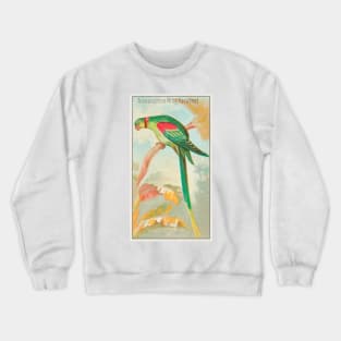 Alexandrine Ring Parakeet Crewneck Sweatshirt